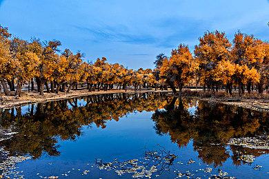 俯视射击《蜗牛克利德》12月15日发售 扮演蜗牛消灭鼻涕虫